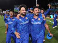 菲卡打入 菲卡打入