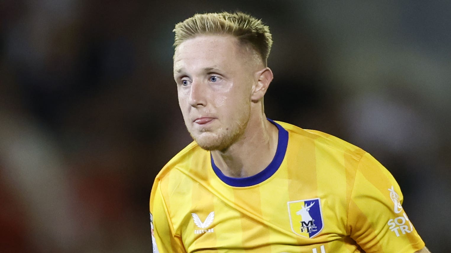 自己的实力 自己的实力